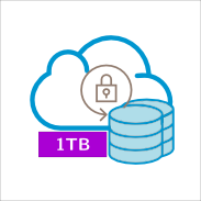 Paquete G -  1TB (1000GB)